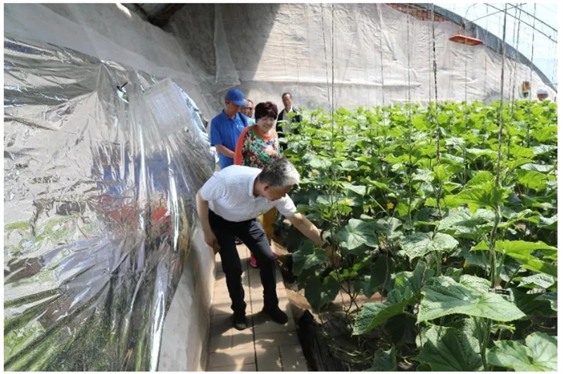 5月21日，自治区总工会组织退休老干部赴乌兰察布市察右前旗开展“看农业创新成果 聚工会银发力量”主题党日活动