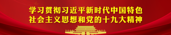 归档—学习贯彻习近平新时代中国特色社会主义思想和党的十九大精神