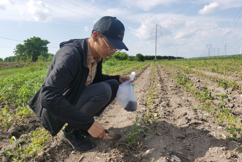 勇于担当作为 推动高质量发展1.png