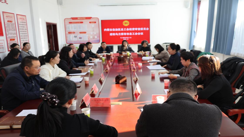 内蒙古自治区总工会在乌兰察布市开展经费专项审查1.png