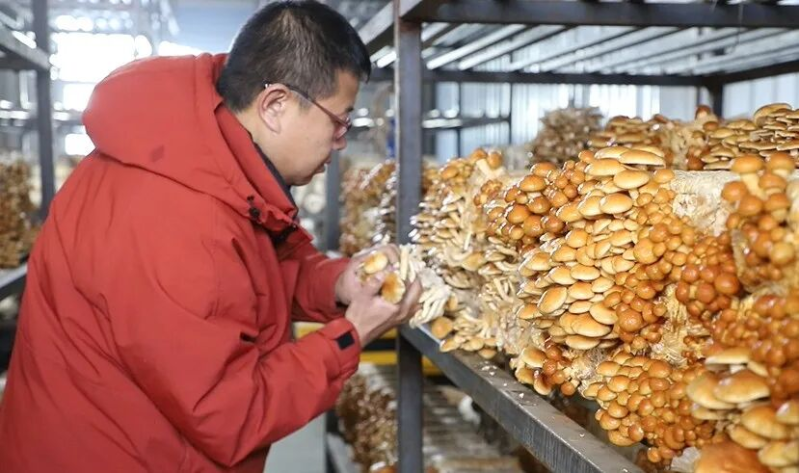 暖流涌林海 幸福入万家——内蒙古森工集团民生改善纪实1.png