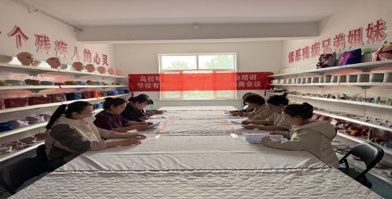乌拉特中旗图雅巾帼家政召开2026年工资专项集体协商会议