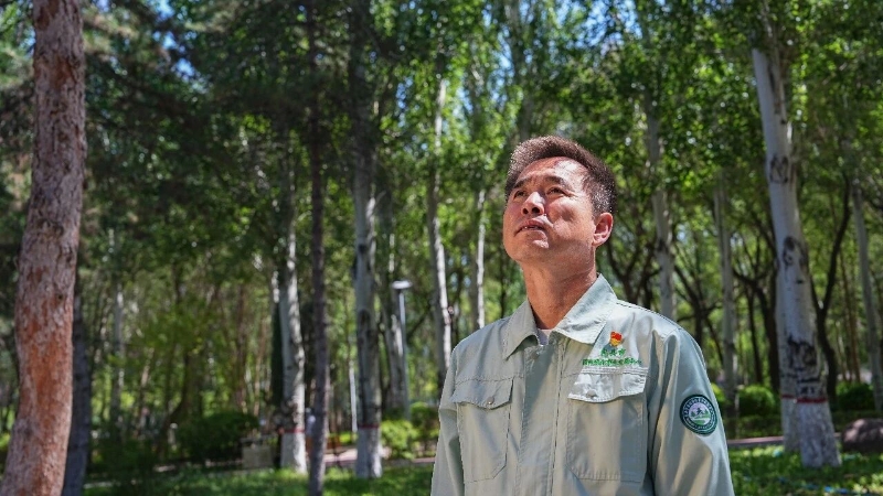 王军：“植”此青绿三十载 匠心守得鹿城春1.jpg