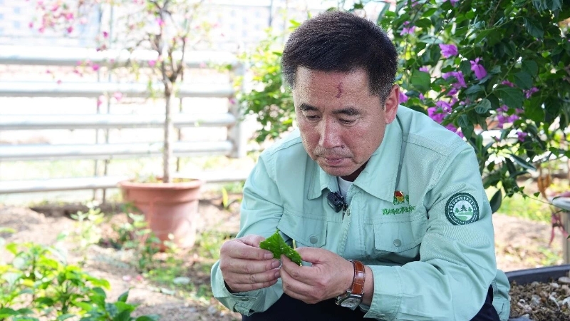 王军：“植”此青绿三十载 匠心守得鹿城春3.jpg