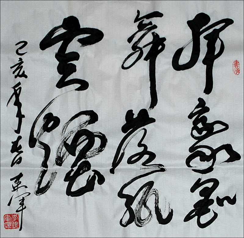 挥毫墨舞 落纸云烟 (书法 李建军)