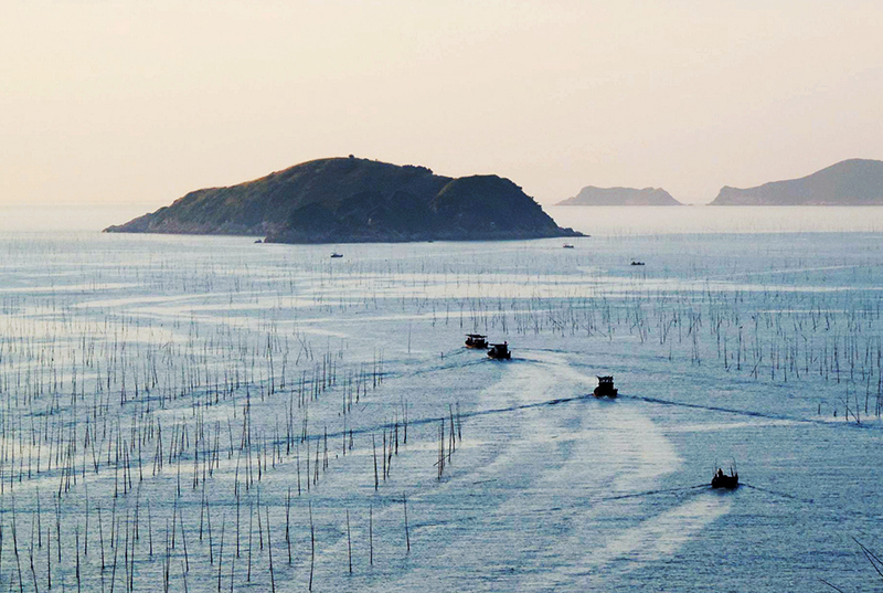 赶海  （汤  青 摄）
