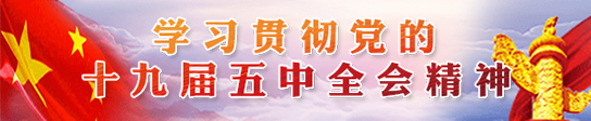 学习贯彻党的十九届五中全会精神