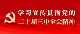 学习宣传贯彻党的二十届三中全会精神