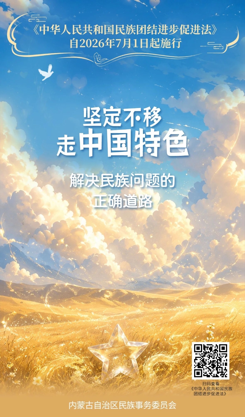 《中华人民共和国民族团结进步促进法》宣传海报（一）4.jpg