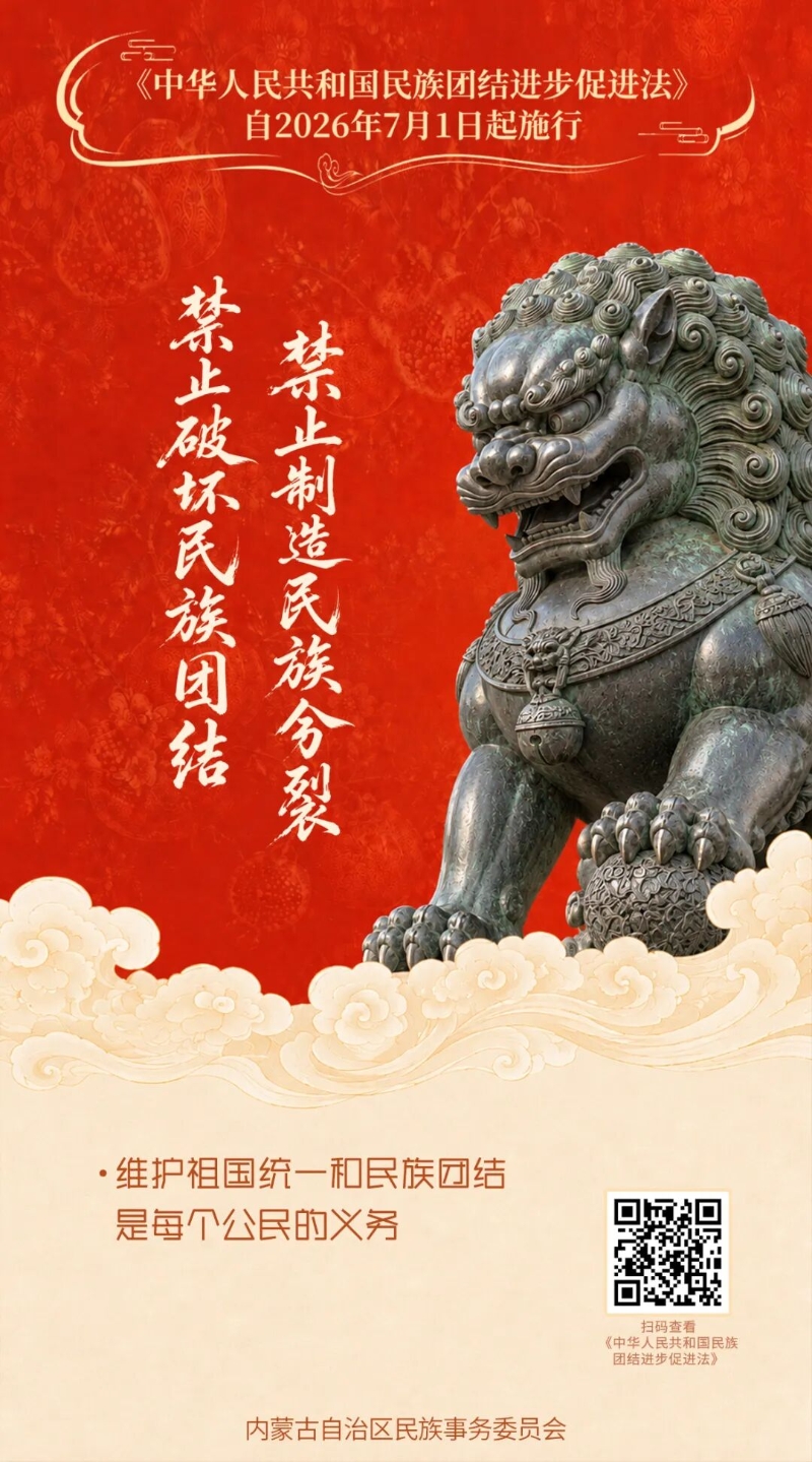 《中华人民共和国民族团结进步促进法》宣传海报（二）3.jpg