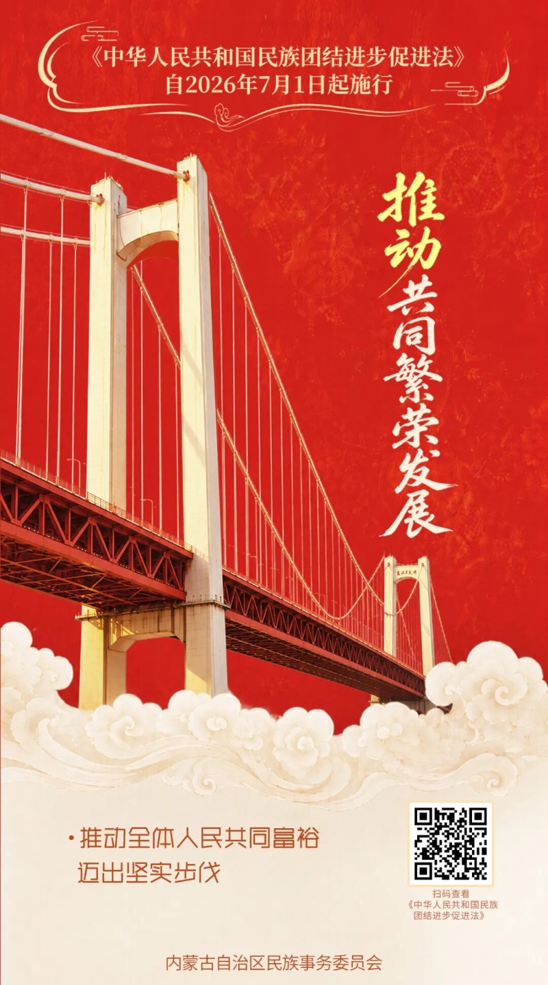 《中华人民共和国民族团结进步促进法》宣传海报（二）5.jpg