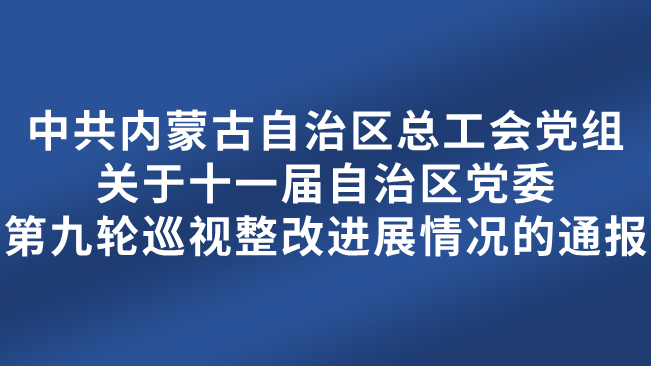 中共内蒙古自治区总工会党组关于十一届自治区党委第九轮巡视整改进展情况的通报