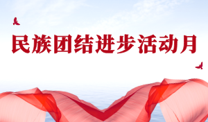 民族团结进步活动月