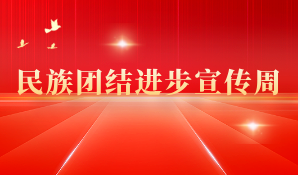 民族团结进步宣传周
