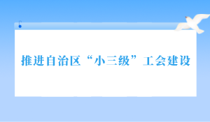 推进自治区“小三级”工会建设